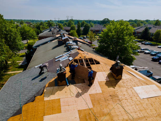 Best Storm Damage Roof Repair  in Victory Gardens, NJ