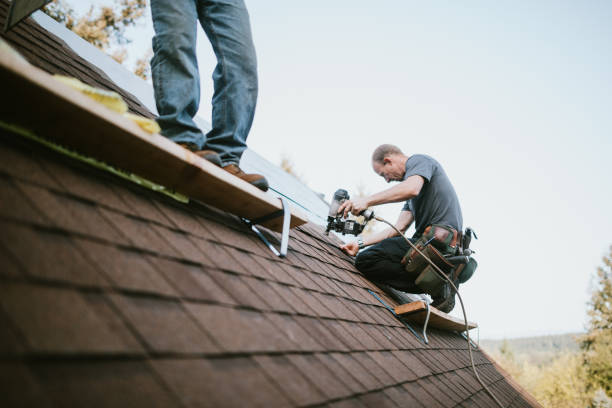 Best Roof Waterproofing Services  in Victory Gardens, NJ